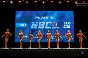 WELLNESS 163